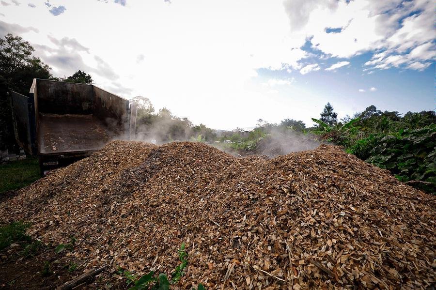 Destina&ccedil;&atilde;o de material  triturado arb&oacute;reo, oriundo de podas e recolhimento de vegetais, &eacute; uma das contribui&ccedil;&otilde;es da prefeitura de Porto Alegre aos produtores rurais do munic&iacute;pio