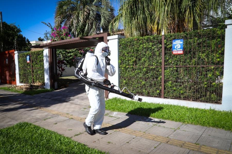 S&atilde;o 3.033 casos de dengue para cada 100 mil habitantes