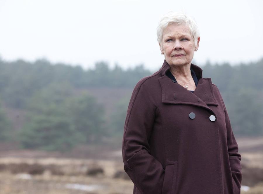 De acordo com o The Guardian, o Garrick Club nomeou Judi Dench, de 89 anos, e Si&acirc;n Phillips, de 91, "membros proeminentes"