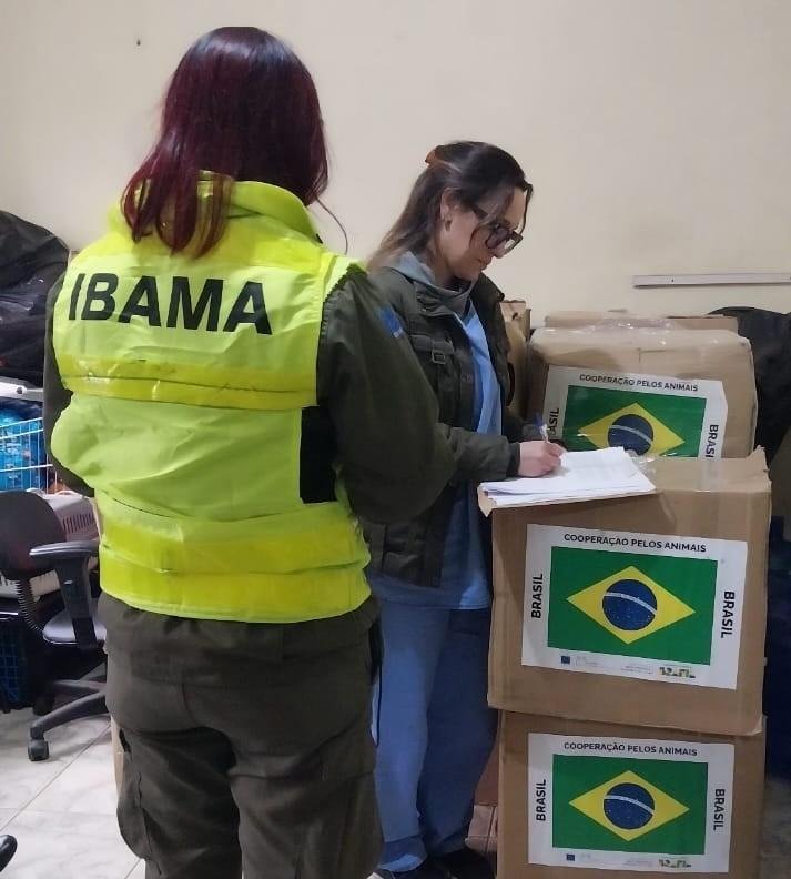 Al&eacute;m de auxiliar animais em abrigos provis&oacute;rios, os insumos enviados pelo Minist&eacute;rio do Meio Ambiente refor&ccedil;ar&atilde;o o controle de zoonoses