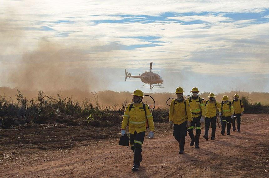 Profissionais contratados pelo Ibama e pelo ICMBio podem atuar por dois anos, per&iacute;odo prorrog&aacute;vel por mais um