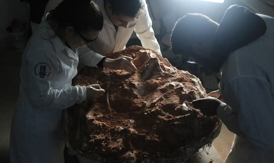 Pesquisadores da&nbsp;UFSM encontraram&nbsp;um f&oacute;ssil quase completo do dinossauro do grupo Herrerasauridae, com idade estimada em 233 milh&otilde;es de anos