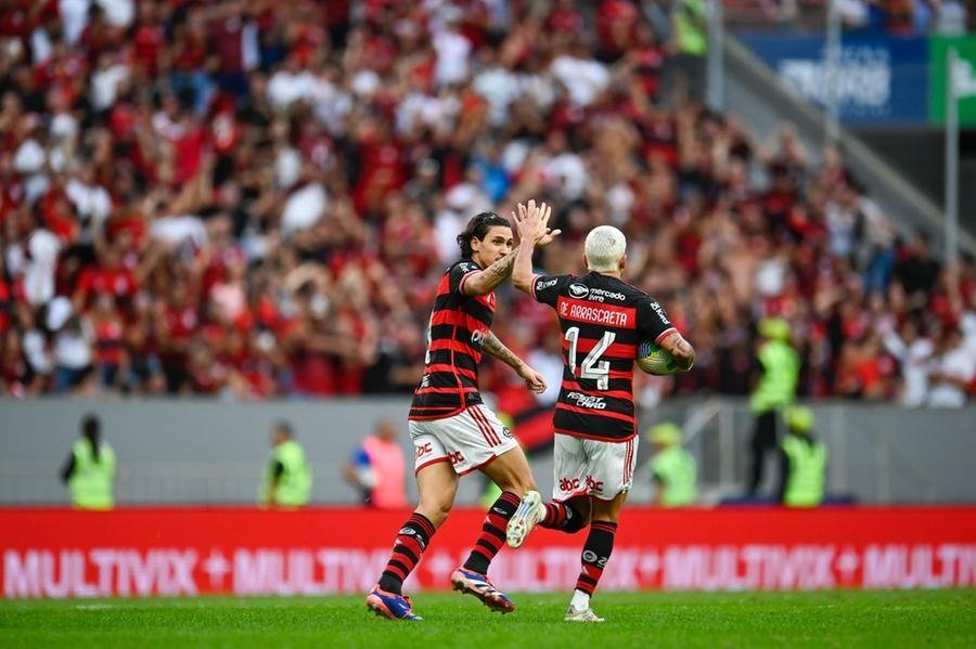 Flamengo venceu o Crici&uacute;ma no Man&eacute; Garrincha