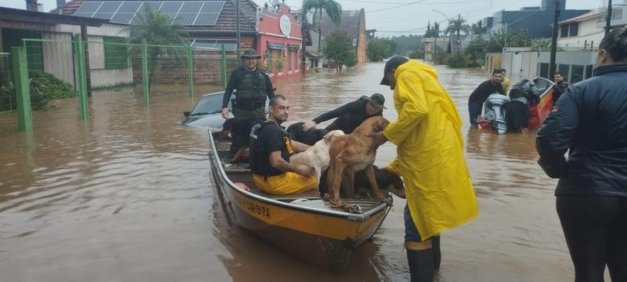 No &aacute;pice da inunda&ccedil;&atilde;o, a Defesa Civil fez o resgate 300 animais