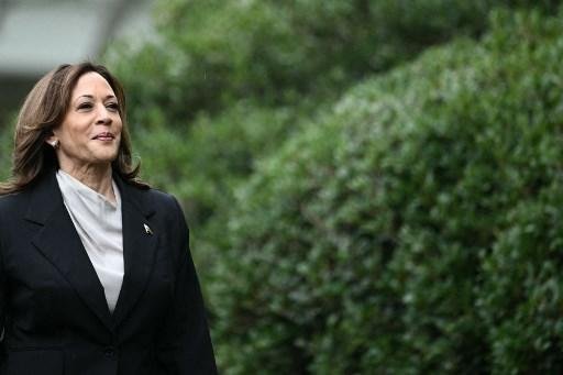 Vice-presidente &eacute; o principal nome dos Democratas para substituir Biden