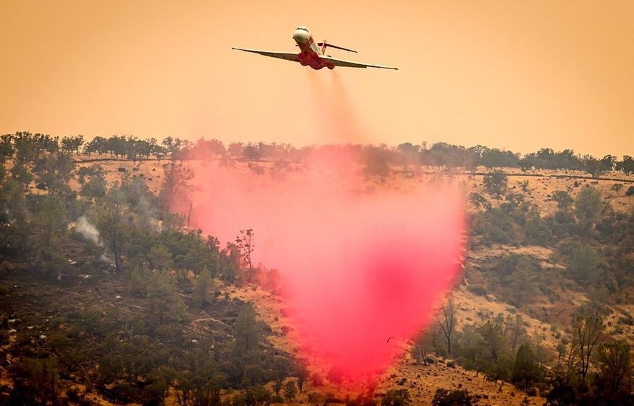 Fogo j&aacute; consumiu mais de 350 mil&nbsp;hectares