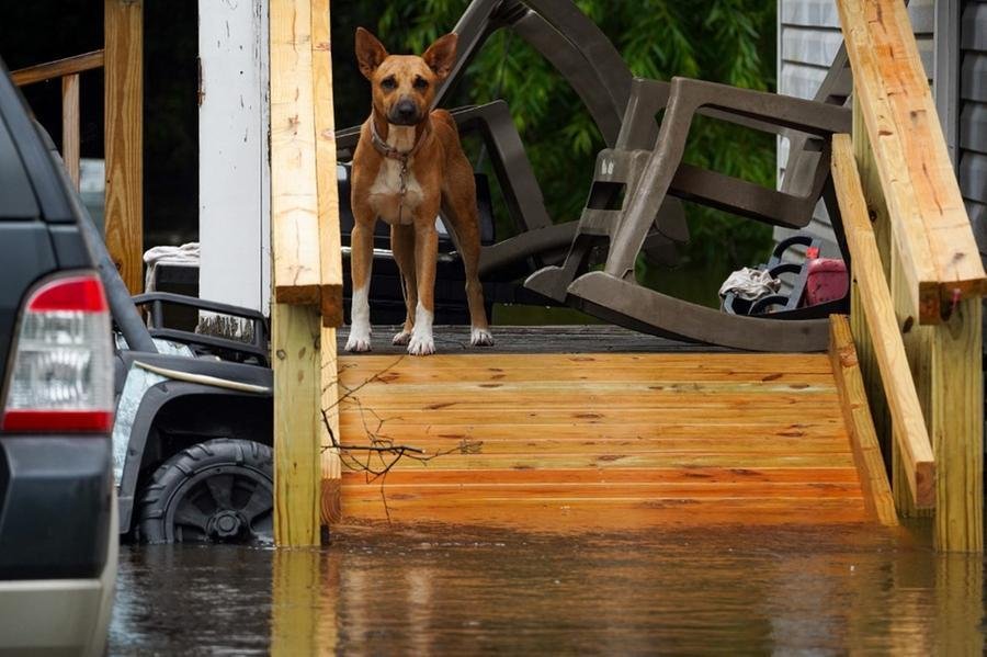 Tempestade tropical Debby tocou o solo nos Estados Unidos pela segunda vez