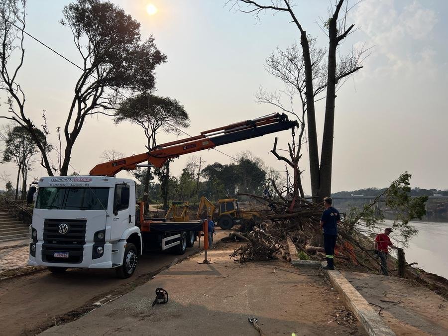 Retirada de galhos de &aacute;rvore na margem do Rio Taquari