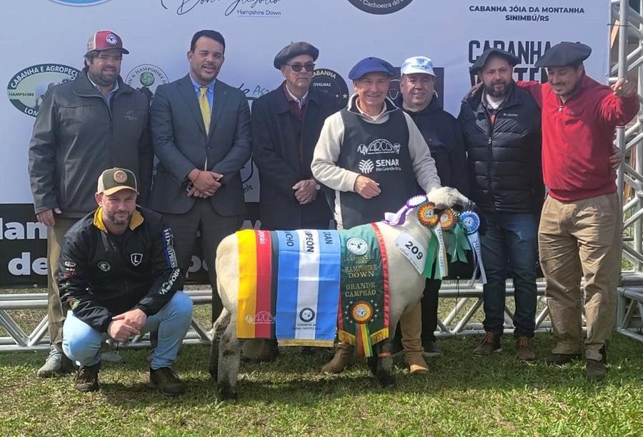 Grande Campe&atilde;o Macho Hampshire Down