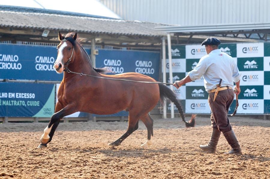 A&nbsp;Expointer 2024 ocorre de 24 de agosto a 1&ordm; de setembro, no Parque&nbsp;de Exposi&ccedil;&otilde;es Assis Brasil, em Esteio.