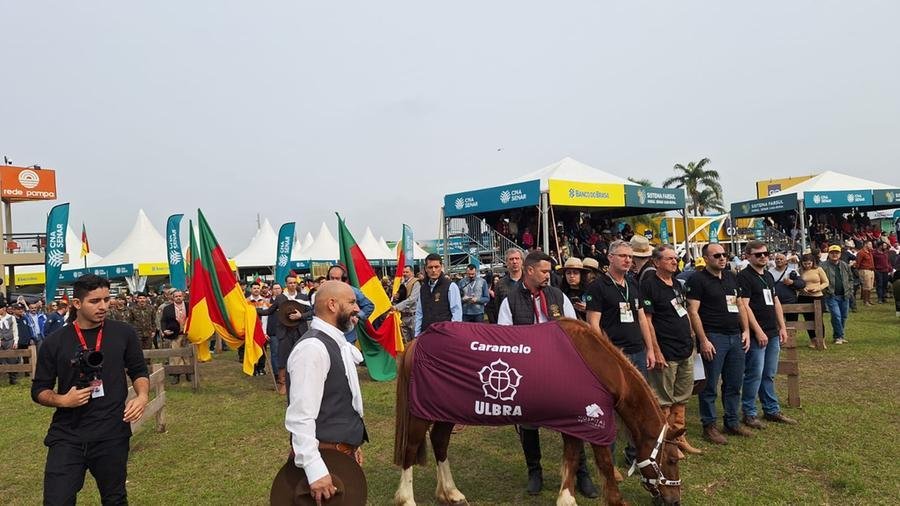 Cavalo Caramelo simboliza a for&ccedil;a e a resili&ecirc;ncia do povo ga&uacute;cho
