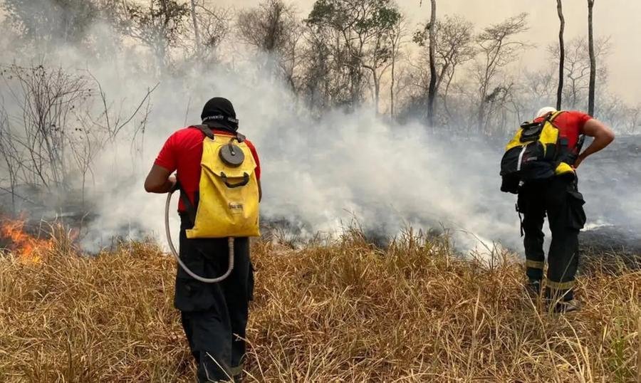 For&ccedil;a-tarefa de resfriamento do local conta com um total de 150 pessoas