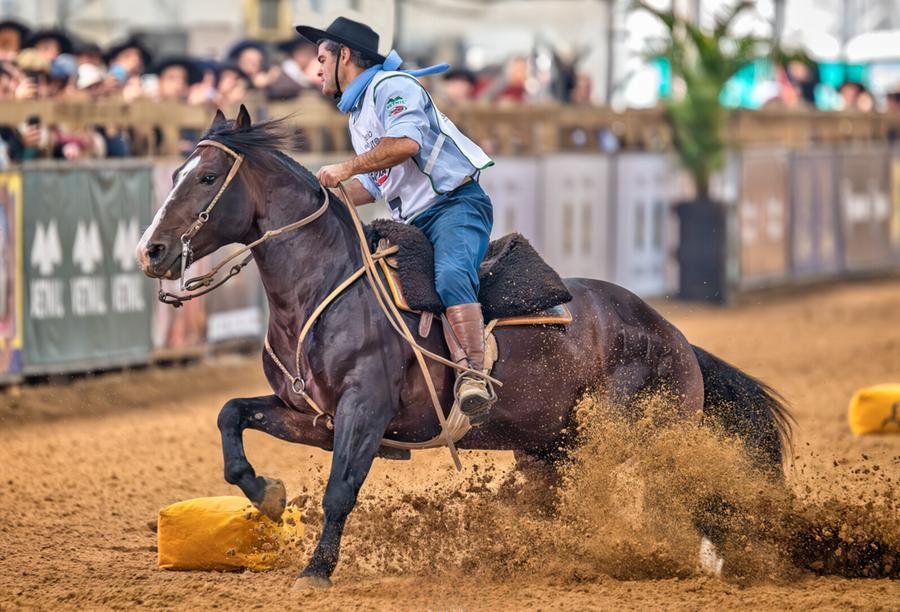 O criador e ginete Marcelo Moglia conduz Jacinto Cala Bassa na arena do Freio de Ouro, durante a 47&ordf; Expointer