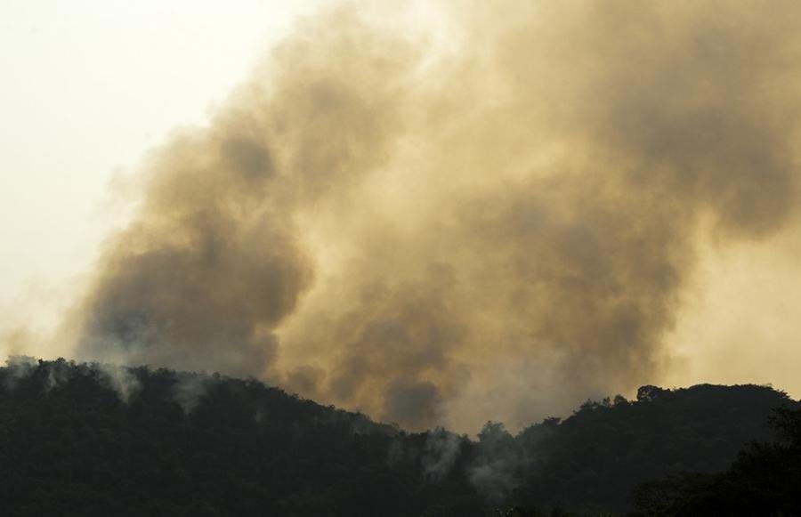 Brasil j&aacute; emitiu cerca de quatro megatoneladas de di&oacute;xido de carbono devido aos inc&ecirc;ndios em setembro