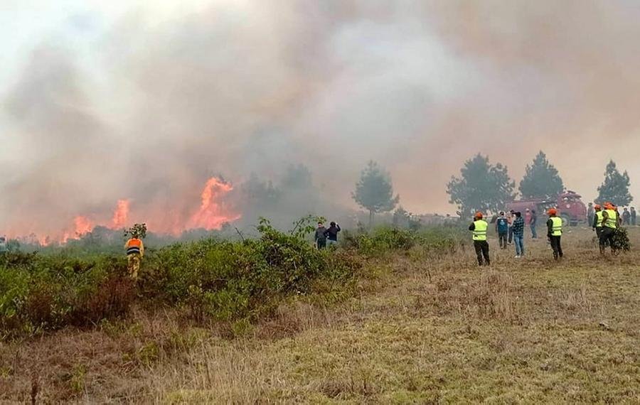"Estamos acordando declarar estado de emerg&ecirc;ncia nas regi&otilde;es de San Mart&iacute;n, Amazonas e Ucayali", disse Boluarte a jornalistas em uma pausa da reuni&atilde;o semanal do Conselho de Ministros