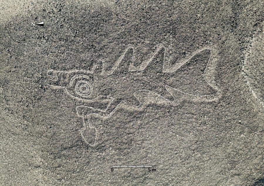 Pesquisa com ajuda de IA descobre mais de 300 novos geoglifos no Peru