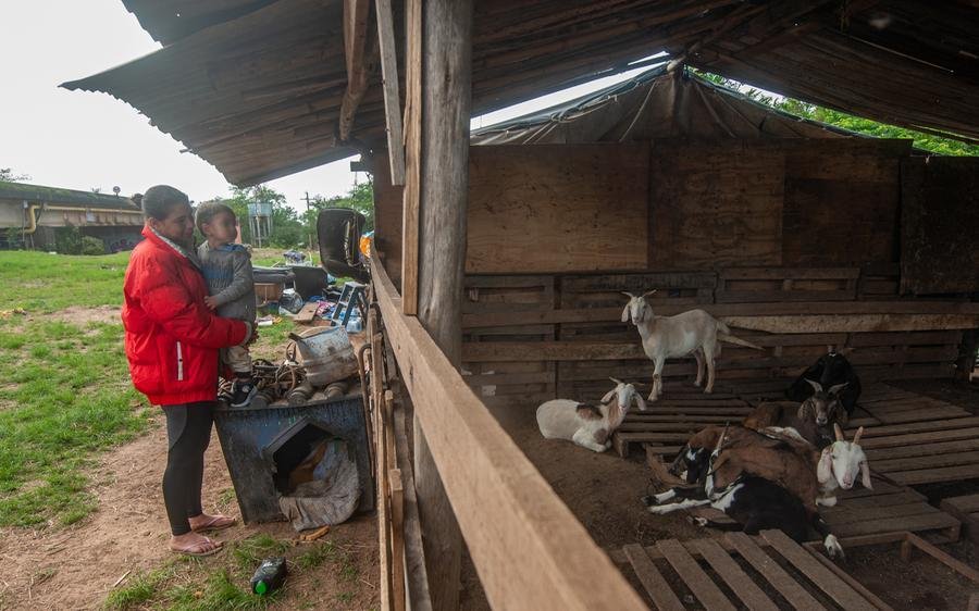 Gabriela vive com dezenas de animais sob ponte na Ilha Grande dos Marinheiros