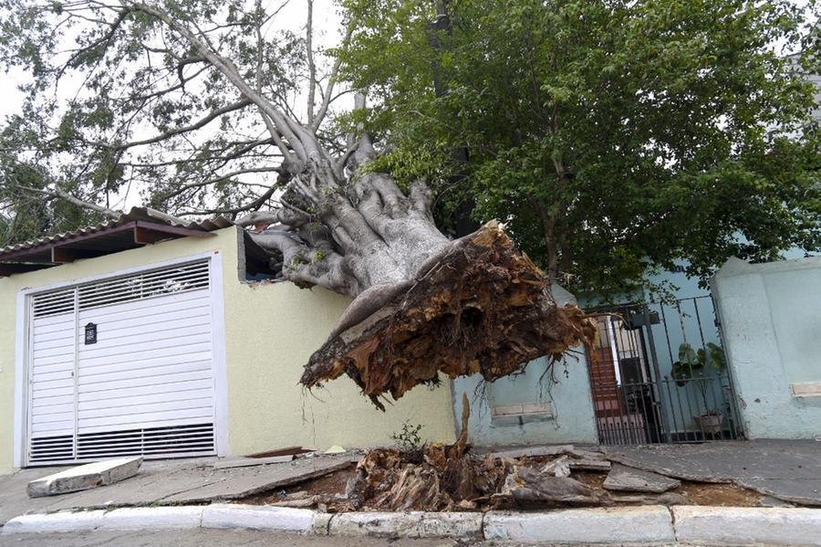 Temporal na sexta-feira (11) causou estragos na rede el&eacute;trica