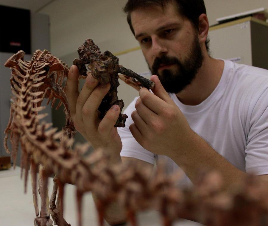 Rodrigo Temp M&uuml;ller com o f&oacute;ssil do &ldquo;Gondwanax paraisensis&rdquo;