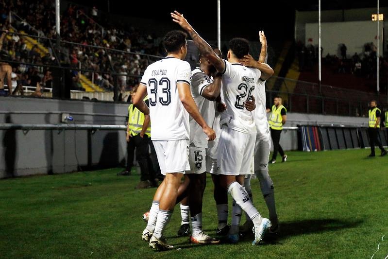 Jogadores do Botafogo comemoram gol da vit&oacute;ria no fim da partida