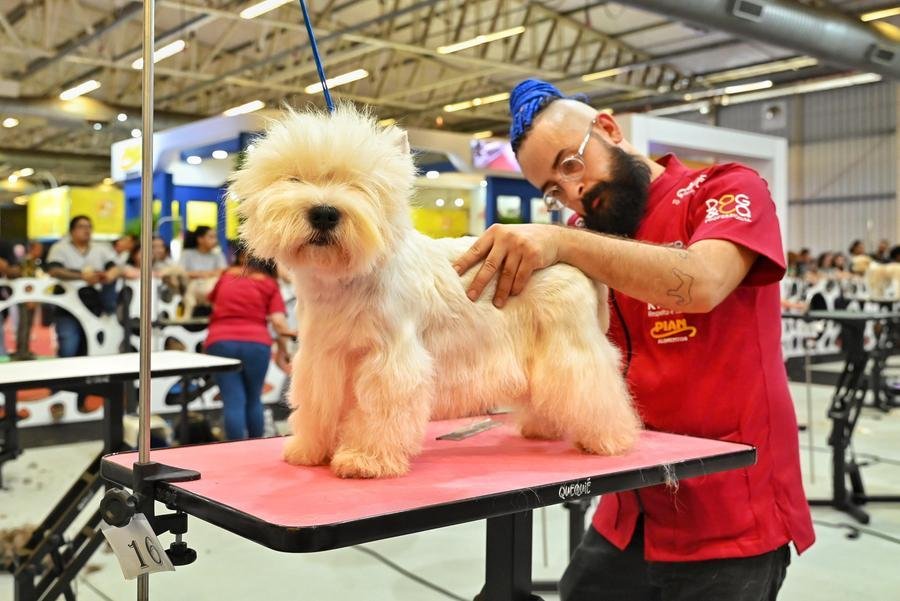 Expositores aguardam visitantes at&eacute; esta ter&ccedil;a-feira, quando encerra a feira