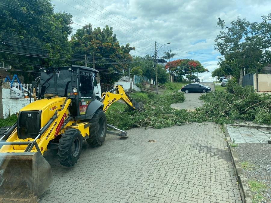 &Aacute;rvores obstruindo a passagem de ve&iacute;culos est&atilde;o entre a maioria dos chamados