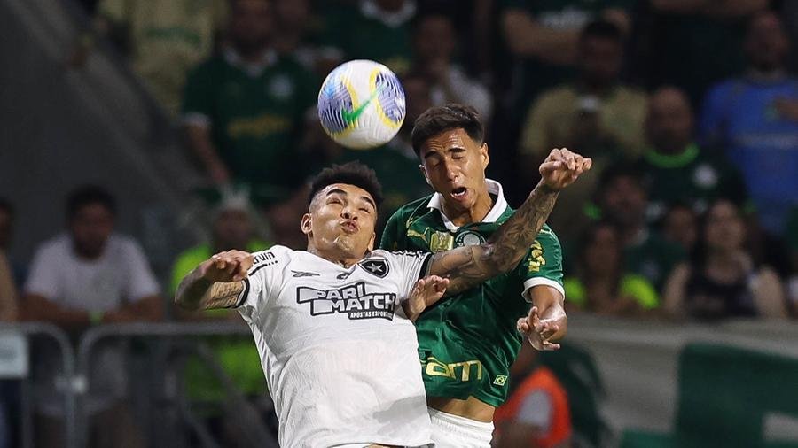 Palmeiras ser&aacute; cabe&ccedil;a de chave, ao contr&aacute;rio do Botafogo, campe&atilde;o da Libertadores deste ano
