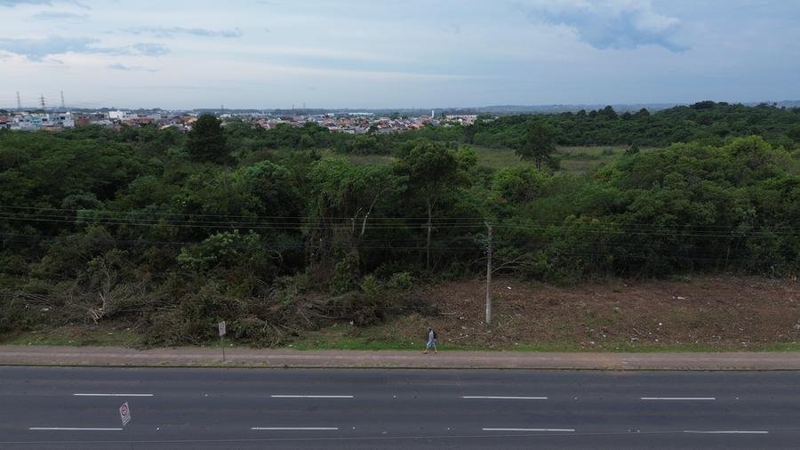 : A RGE informou que retirada de vegeta&ccedil;&atilde;o &eacute; uma medida preventiva para garantir a seguran&ccedil;a e fornecimento de energia
