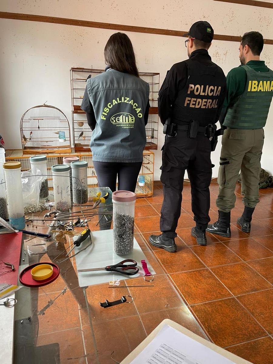 Suspeitos de desviar animais s&atilde;o alvo de opera&ccedil;&atilde;o no RS