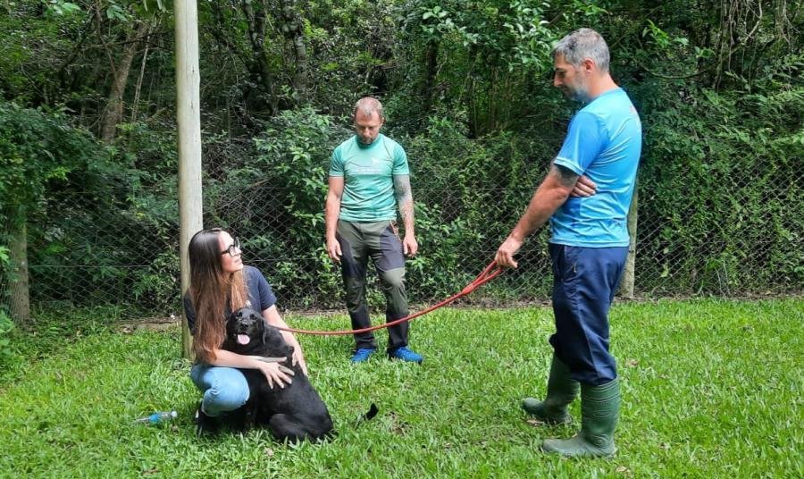 Centro de adestramento de Farroupilha &eacute; especializado em cachorros com comportamentos reativos e medos extremos