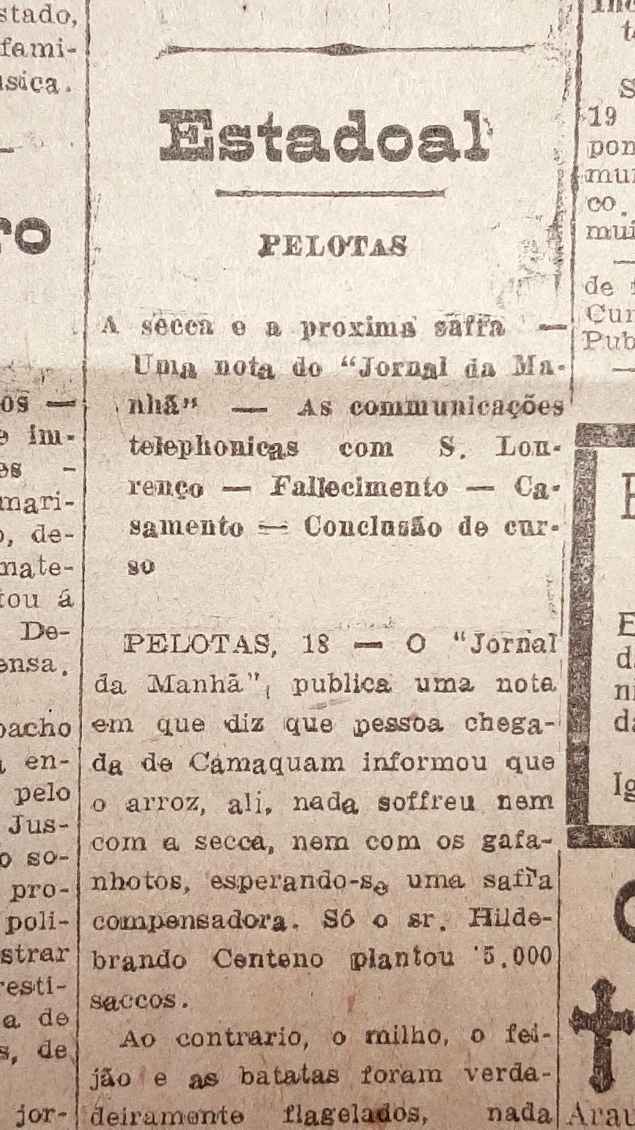 Nos &uacute;ltimos meses de 1924, o Correio do Povo noticiava constantemente sobre a seca que atingia o Rio Grande do Sul. A estiagem afetava diferentes &aacute;reas do Estado, da Serra &agrave; Fronteira. Na zona sul, os estragos foram registrados sobretudo nas lavouras de milho, feij&atilde;o e batatas