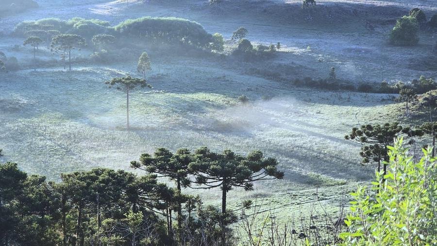 Geada no fim de dezembro surpreende e transforma paisagem cidade de Santa Catarina
