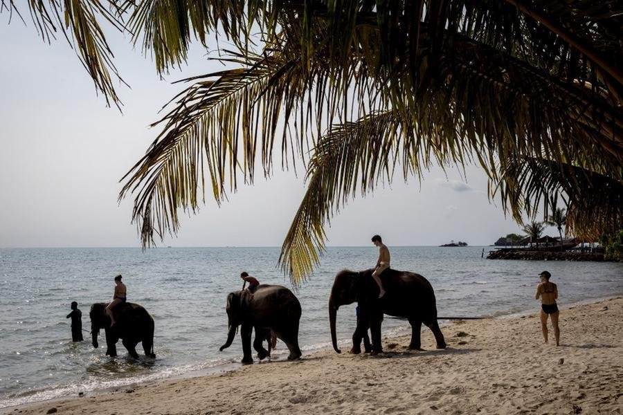 Banhar elefantes &eacute; uma atividade tur&iacute;stica muito popular entre os que visitam a Tail&acirc;ndia