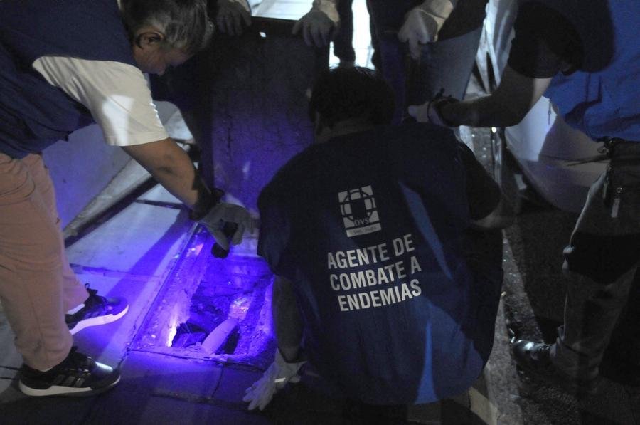 Equipe da Vigil&acirc;ncia Ambiental percorreu ruas pr&oacute;ximas &agrave; Pra&ccedil;a Dom Feliciano