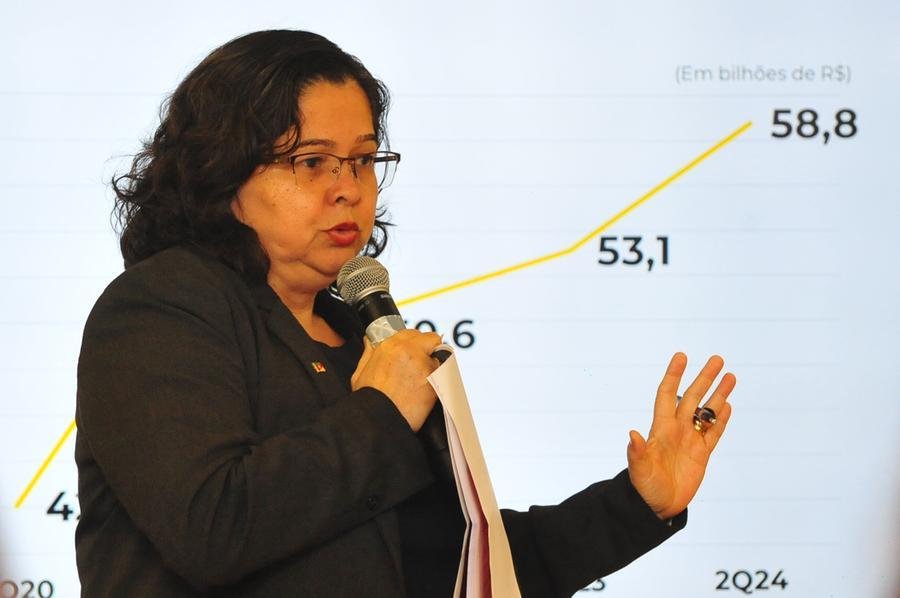 Secret&aacute;ria da Fazenda do RS, Pricilla Maria Santana criticou os vetos do governo federal