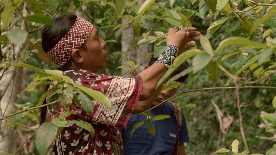 O filme 'Huni Ku&iuml; - Povo Verdadeiro' est&aacute; entre os ga&uacute;chos selecionados para a mostra