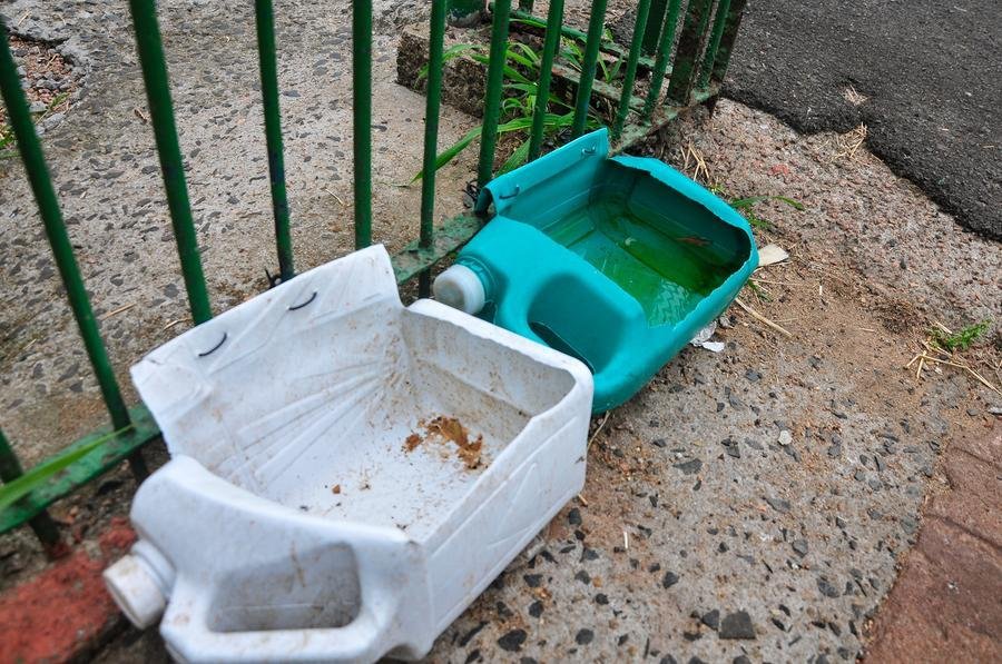Opas alerta para casos de dengue