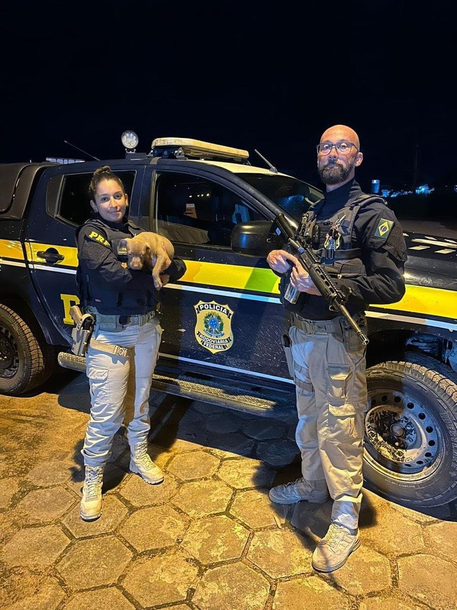 Policiais rodovi&aacute;rios federais recolhem filhote de cachorro nas estradas ga&uacute;chas