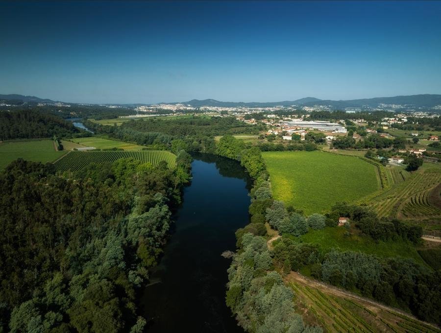 A regi&atilde;o do Vinho Verde, em Portugal, abrange o noroeste do pa&iacute;s, perto da fronteira com a Espanha, e produz um vinho conhecido por sua jovialidade.