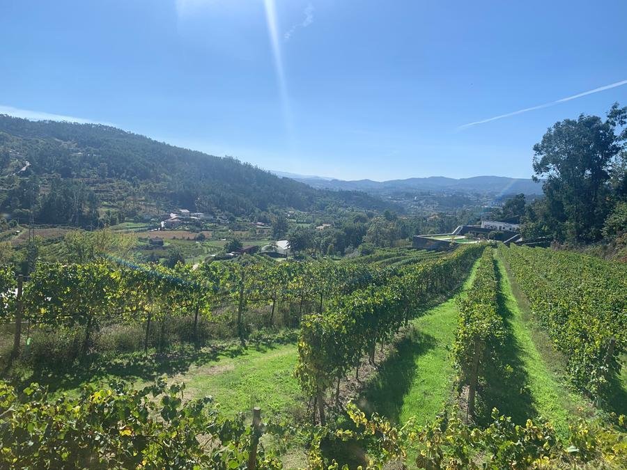 Regi&atilde;o dos Vinhos Verdes