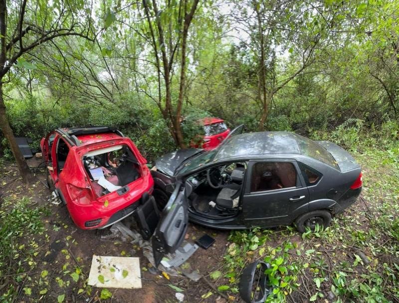Policiais localizaram carros roubados em meio a matagal no bairro Canudos