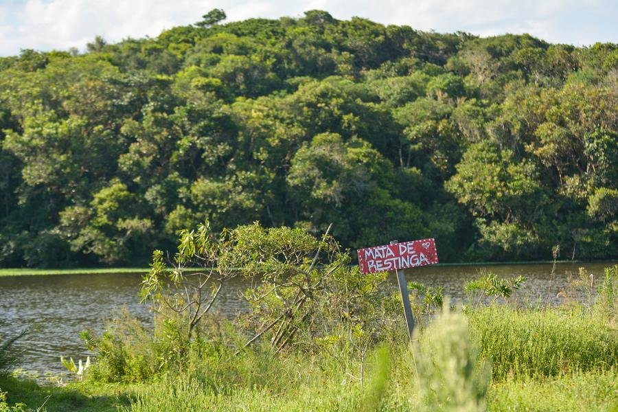 Metas tratam de restaura&ccedil;&atilde;o, conserva&ccedil;&atilde;o e manejo de ecossistemas
