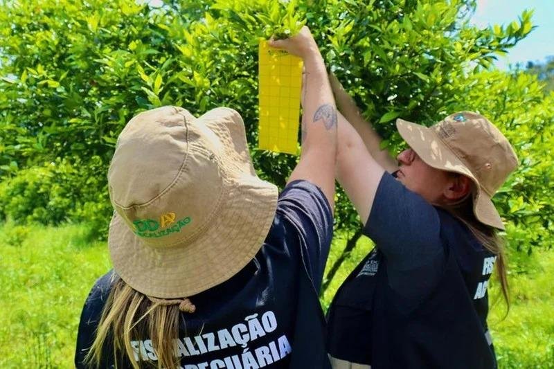 Seapi preparou canais espec&iacute;ficos para recebimento de mensagens para a &Aacute;rea Vegetal e Animal
