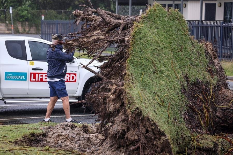 Ventos arrancaram &aacute;rvores e derrubaram linhas de energia no sudeste de Queensland e no nordeste de Nova Gales do Sul