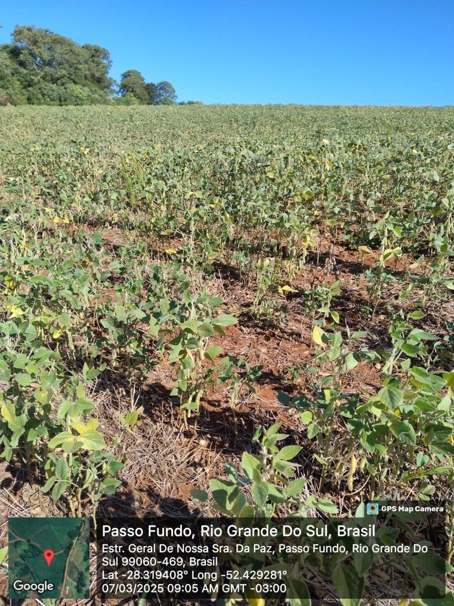 Os principais preju&iacute;zos est&atilde;o na agricultura e no abastecimento de &aacute;gua na zona rural