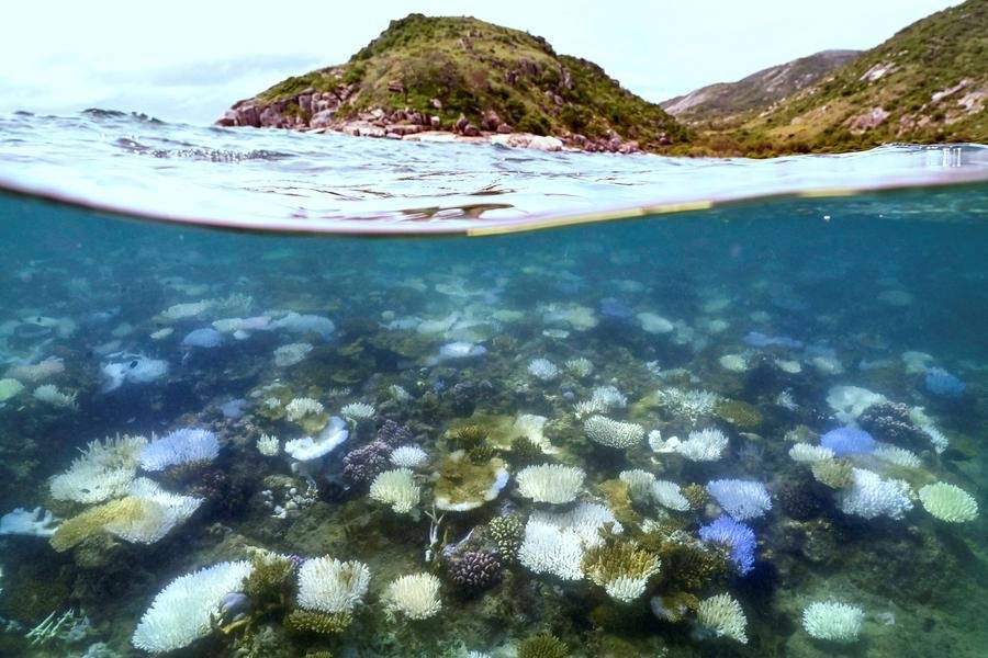 Entender a profundidade dos oceanos &eacute; crucial para a instala&ccedil;&atilde;o de cabos submarinos entre outras coisas