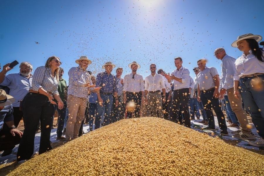Safra est&aacute; estimada estimada em 15.072.765 toneladas, com produtividade de 2.240 kg/ha