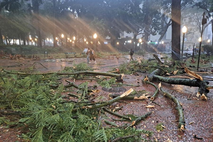 Galhos arrancados pela for&ccedil;a do vento ficaram espalhados pela cidade