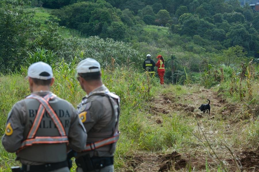 Ve&iacute;culo desceu ribanceira e parou a cerca de 120 metros da rodovia