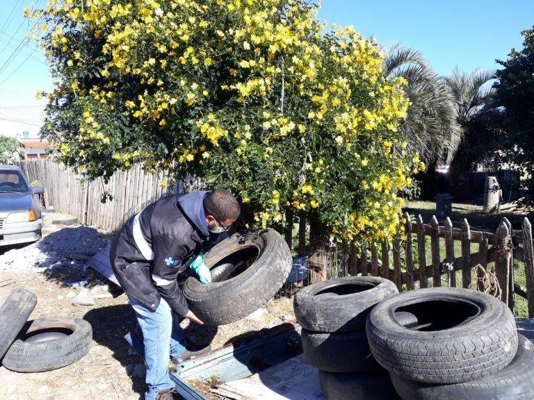 Mesmo com o trabalho de preven&ccedil;&atilde;o a cidade tem 197 focos do mosquito aedes aegypti